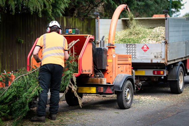 Best Utility Line Clearance  in Lofall, WA