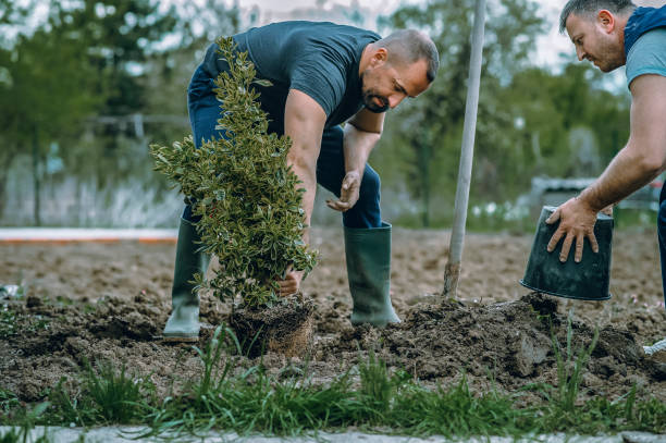 Best Leaf Removal  in Lofall, WA