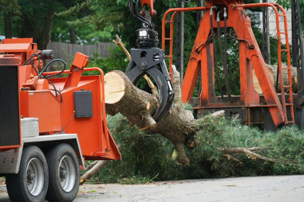 Mulching Services in Lofall, WA